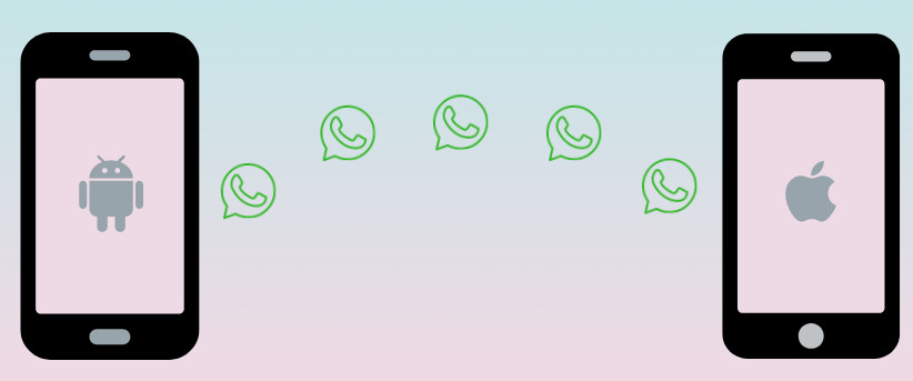 samsung to iphone whatsapp transfer